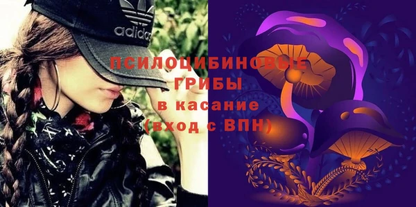 PSILOCYBIN Белоозёрский