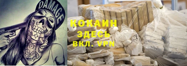 метадон Богданович