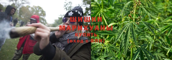 метадон Богданович