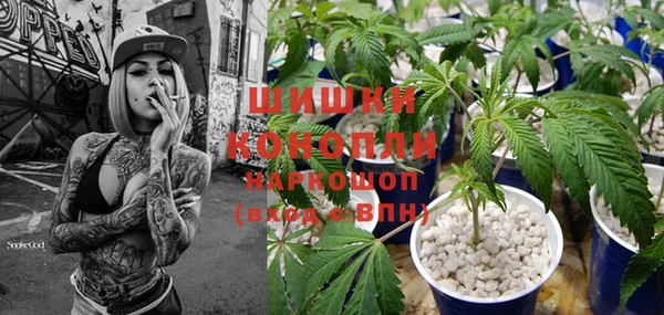 PSILOCYBIN Белоозёрский